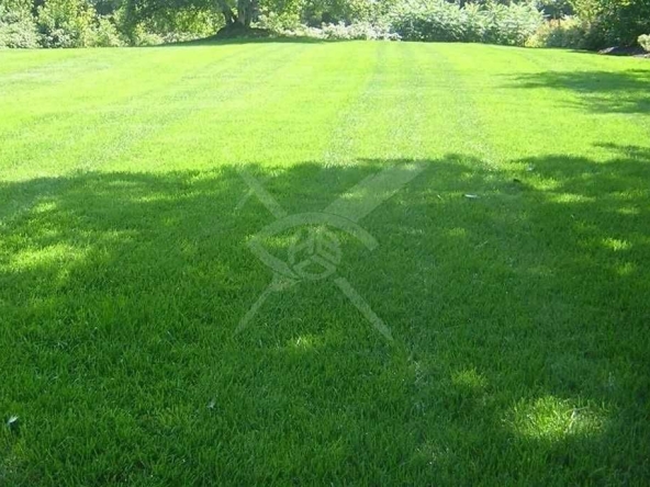 Парцел в Асеновград - 630 кв.м за 199 €/кв.м - Снимка #1