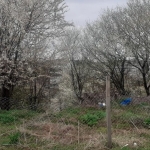 Парцел в Генерал Тошево - 2000 кв.м за 2 €/кв.м - Снимка #1