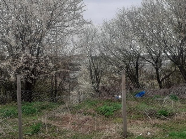 Парцел в Генерал Тошево - 2000 кв.м за 2 €/кв.м - Снимка #1