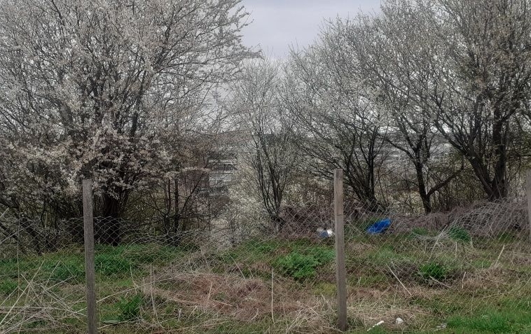 Парцел в Генерал Тошево - 2000 кв.м за 2 €/кв.м - Снимка #1