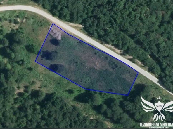 Парцел в с. Мостово, Област Пловдив - 4621 кв.м за 8 €/кв.м - Снимка #1