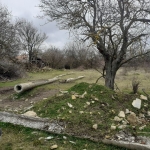 Парцел в Белослав - 5012 кв.м за 14 €/кв.м - Снимка #1