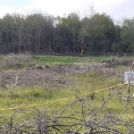 Парцел в Аксаково - 1935 кв.м за 26 €/кв.м - Снимка #1