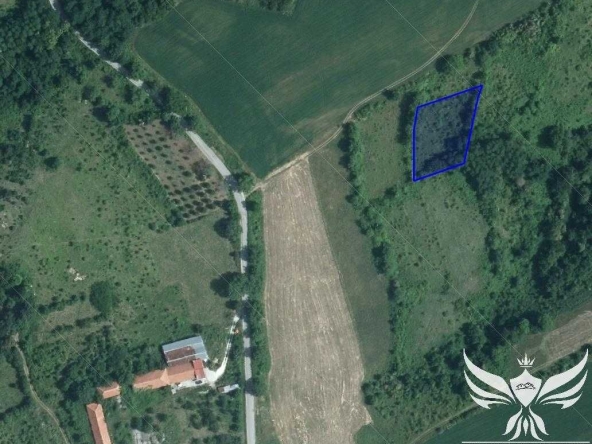 Земеделски имот в с. Горнослав, Област Пловдив -  кв.м за 1530 €/дка - Снимка #1