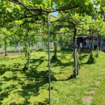 Парцел в Ловеч, Продимчец - 1300 кв.м за 7 €/кв.м - Снимка #1