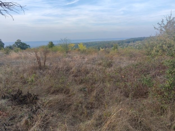 Парцел в с. Бенковски, Област Варна - 5345 кв.м за 48 €/кв.м - Снимка #1