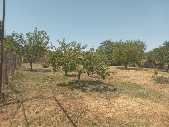 Парцел в с. Белоградец, Област Варна - 2500 кв.м за 6 €/кв.м - Снимка #1