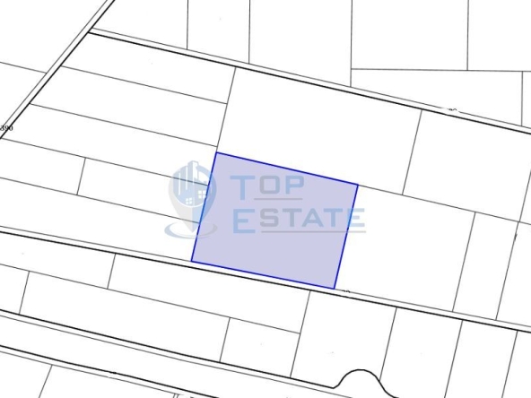 Парцел в с. Леденик, Област Велико Търново - 12699 кв.м за 7 €/кв.м - Снимка #1