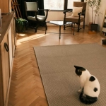 Дава се под наем Двустаен апартамент в Пловдив, Христо Смирненски - 70 кв.м за 561 € - Снимка #1