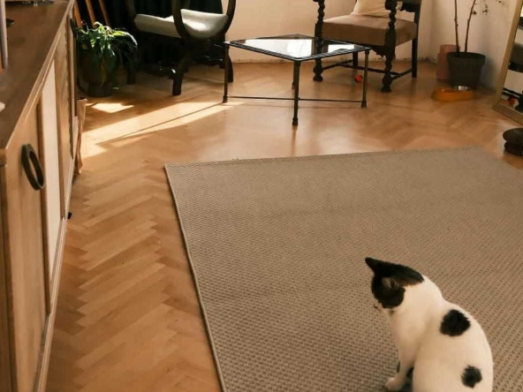 Дава се под наем Двустаен апартамент в Пловдив, Христо Смирненски - 70 кв.м за 561 € - Снимка #1