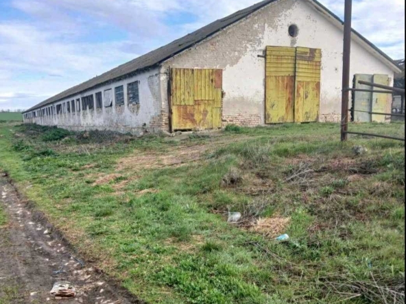 Земеделски имот в с. Караманите, Област Варна -  кв.м за 2 €/дка - Снимка #1