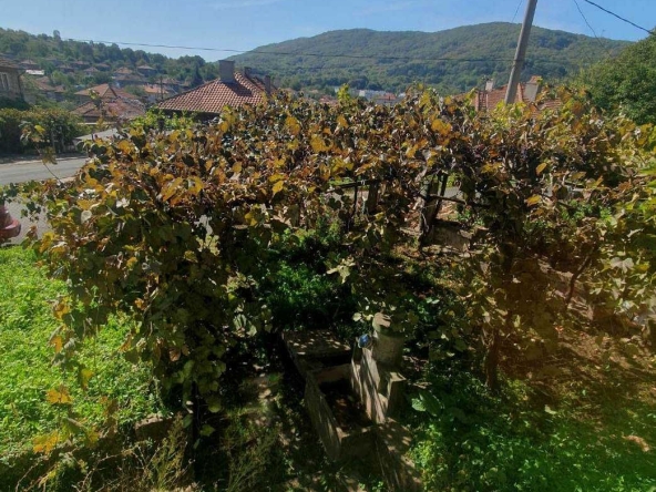 Къща в Малко Търново - 73 кв.м за 316 €/кв.м - Снимка #1