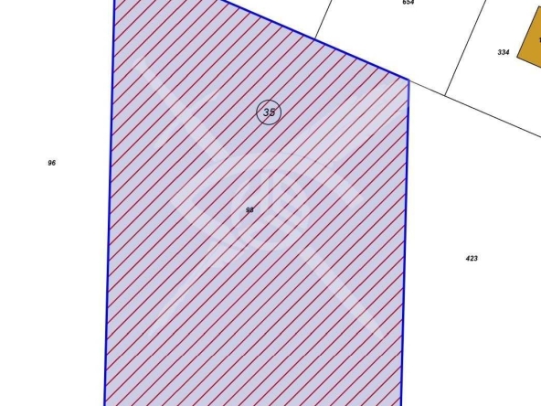 Парцел в с. Ягодово, Област Пловдив - 4699 кв.м за 53 €/кв.м - Снимка #1