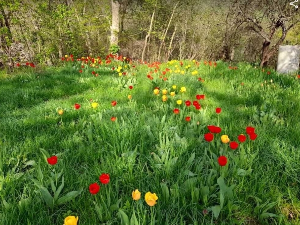 Дава се под наем Парцел в с. Лозен, Област София-град - 650 кв.м за 152.49 € - Снимка #1