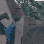 Земеделски имот в с. Полковник Чолаково, Област Силистра -  кв.м за 612 €/дка - Снимка #1