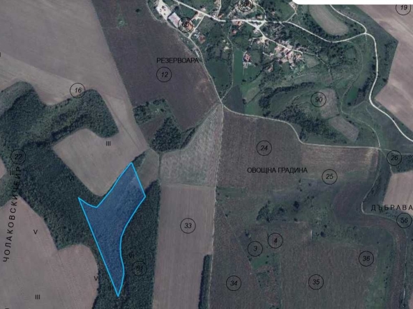 Земеделски имот в с. Полковник Чолаково, Област Силистра -  кв.м за 612 €/дка - Снимка #1