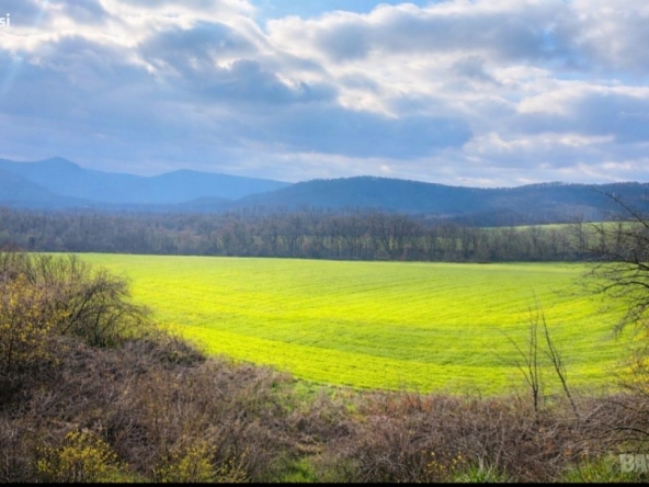 Земеделски имот в с. Млада гвардия, Област Варна -  кв.м за 455 €/дка - Снимка #1