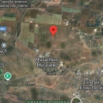 Земеделски имот в с. Мусачево, Област София-област -  кв.м за 3462 €/дка - Снимка #1