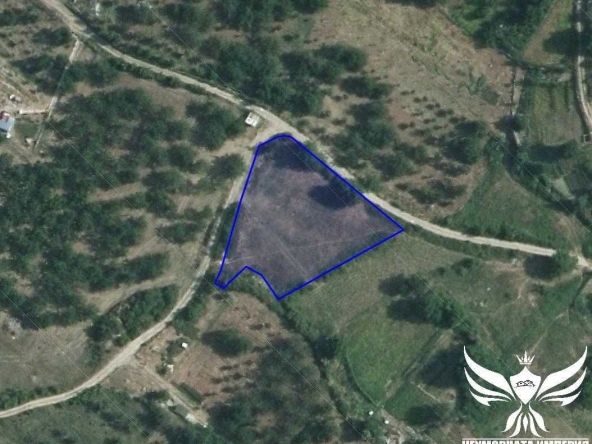 Парцел в Асеновград - 2050 кв.м за 16 €/кв.м - Снимка #1