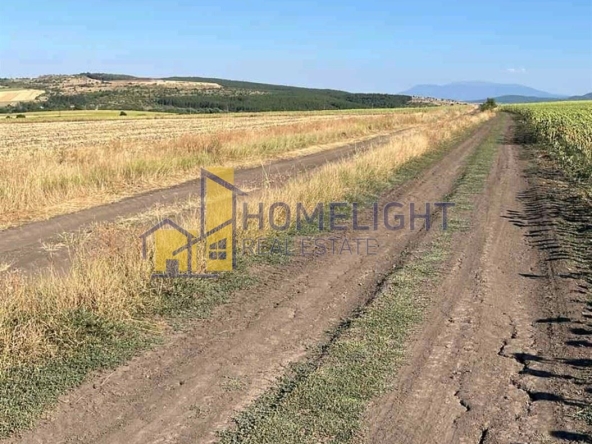 Парцел в с. Алдомировци, Област София-област - 58104 кв.м за 5 €/кв.м - Снимка #1