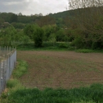 Парцел в с. Ушинци, Област Разград - 1555 кв.м за 20 €/кв.м - Снимка #1