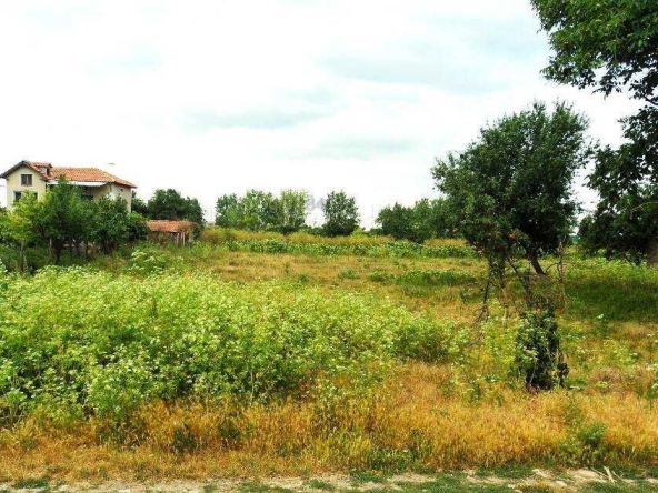 Парцел в с. Селце, Област Добрич - 1024 кв.м за 13 €/кв.м - Снимка #1