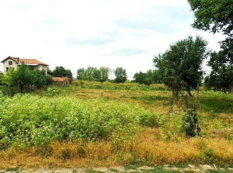 Парцел в с. Селце, Област Добрич - 1024 кв.м за 13 €/кв.м - Снимка #1