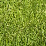 Земеделски имот в Бургас, Меден рудник - зона А -  кв.м за 34 €/дка - Снимка #1