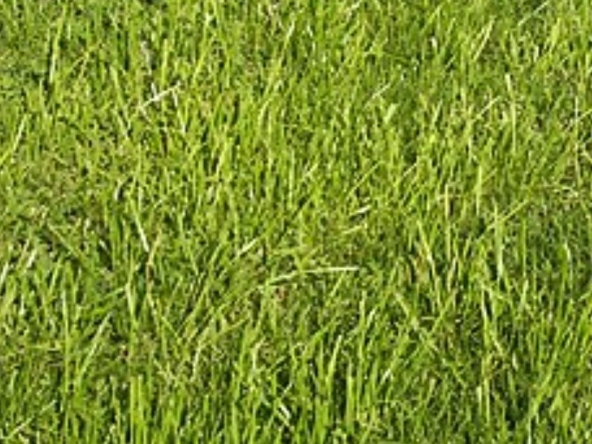 Земеделски имот в Бургас, Меден рудник - зона А -  кв.м за 34 €/дка - Снимка #1