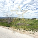 Парцел в с. Първенец, Област Пловдив - 5126 кв.м за 14 €/кв.м - Снимка #1