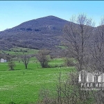 Парцел в с. Брястово, Област Хасково - 730 кв.м за 21 €/кв.м - Снимка #1