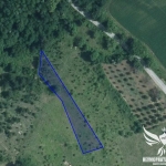 Земеделски имот в с. Горнослав, Област Пловдив -  кв.м за 2805 €/дка - Снимка #1