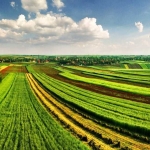 Земеделски имот в Бургас, Акациите -  кв.м за 111 €/дка - Снимка #1