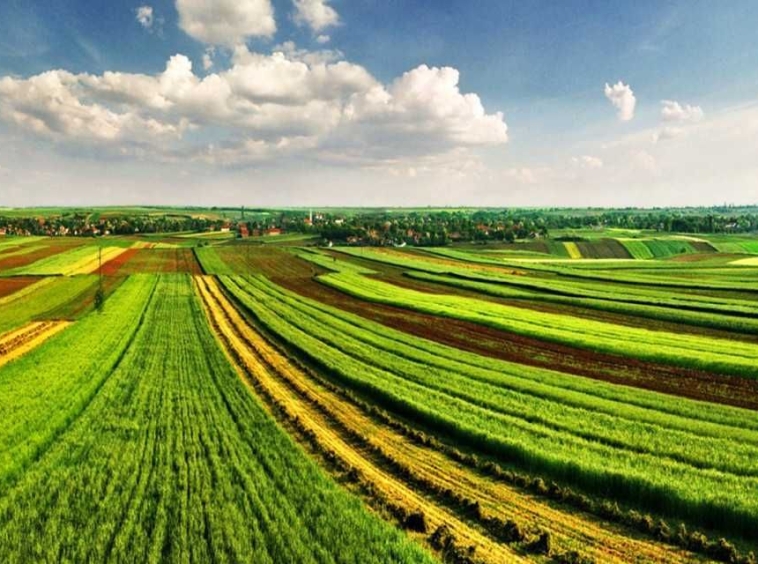 Земеделски имот в Бургас, Акациите -  кв.м за 111 €/дка - Снимка #1