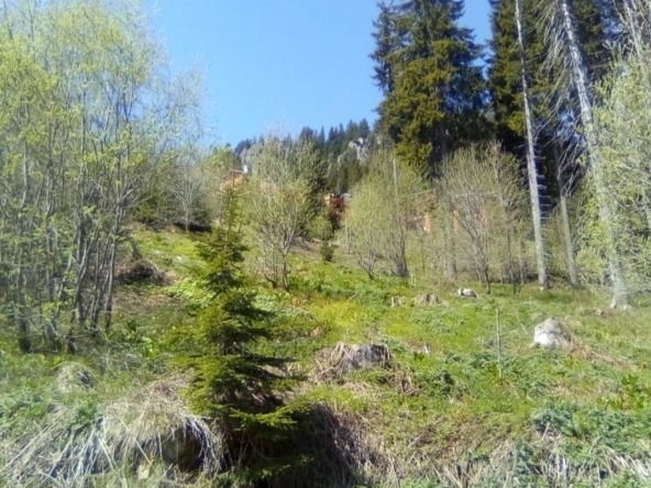 Парцел в к.к. Пампорово - 1896 кв.м за 27 €/кв.м - Снимка #1