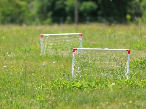 Земеделски имот в с. Искрец, Област София-област -  кв.м за 1 €/дка - Снимка #1