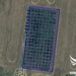 Земеделски имот в Пловдив, Прослав -  кв.м за 4008 €/дка - Снимка #1