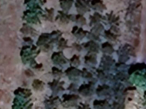 Парцел в с. Бърдарски геран, Област Враца - 1150 кв.м за 2 €/кв.м - Снимка #1