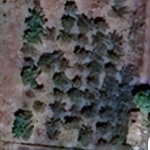 Парцел в Бяла Слатина - 1150 кв.м за 2 €/кв.м - Снимка #1