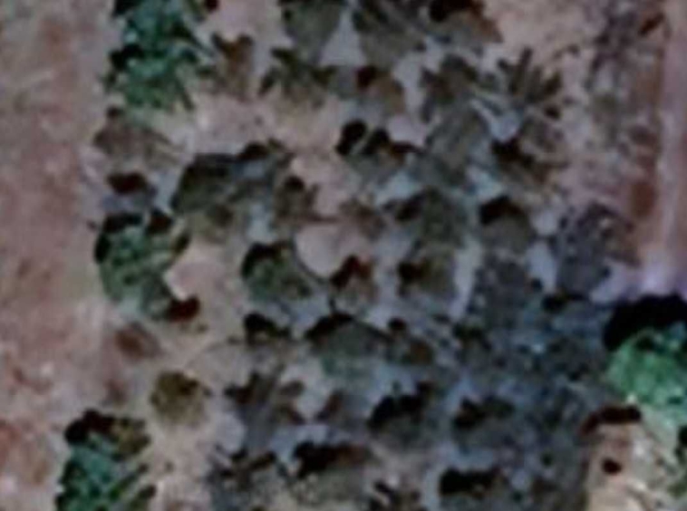 Парцел в Бяла Слатина - 1150 кв.м за 2 €/кв.м - Снимка #1