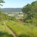 Земеделски имот в Варна, Бриз -  кв.м за 2 €/дка - Снимка #1