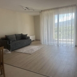 Дава се под наем Двустаен апартамент в София, Хладилника - 74 кв.м за 760 € - Снимка #1