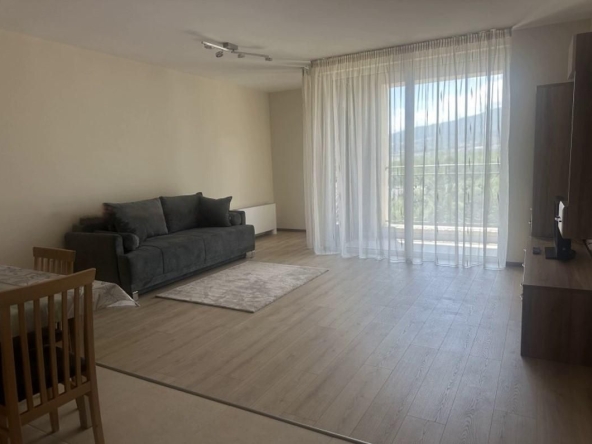 Дава се под наем Двустаен апартамент в София, Хладилника - 74 кв.м за 760 € - Снимка #1