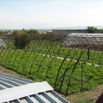 Парцел в с. Поликраище, Област Велико Търново - 5718 кв.м за 16 €/кв.м - Снимка #1