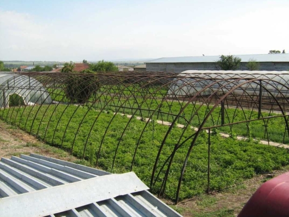 Парцел в с. Поликраище, Област Велико Търново - 5718 кв.м за 16 €/кв.м - Снимка #1