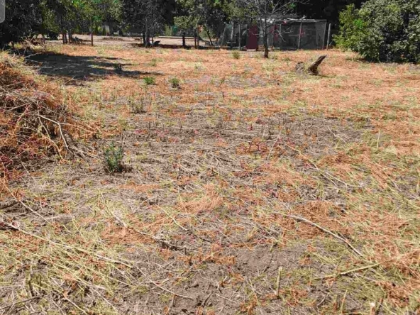 Парцел в с. Юнаците, Област Пазарджик - 611 кв.м за 23 €/кв.м - Снимка #1