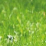 Парцел в Девня - 800 кв.м за 31 €/кв.м - Снимка #1