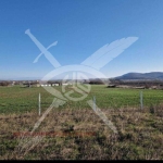 Парцел в с. Заберново, Област Бургас - 2771 кв.м за 2 €/кв.м - Снимка #1