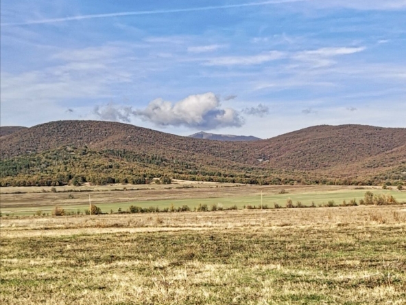 Парцел в Пловдив, Каменица 1 - 1130 кв.м за 23 €/кв.м - Снимка #1