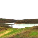 Земеделски имот в Сунгурларе -  кв.м за 1054 €/дка - Снимка #1